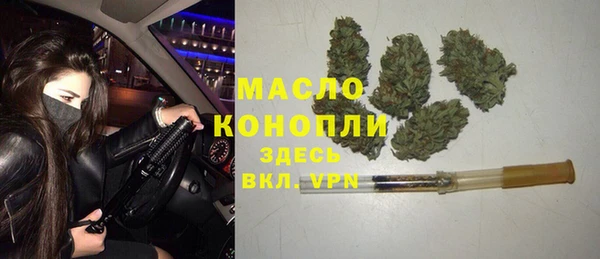сатива Магадан