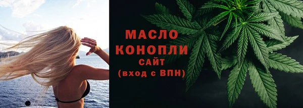 сатива Магадан