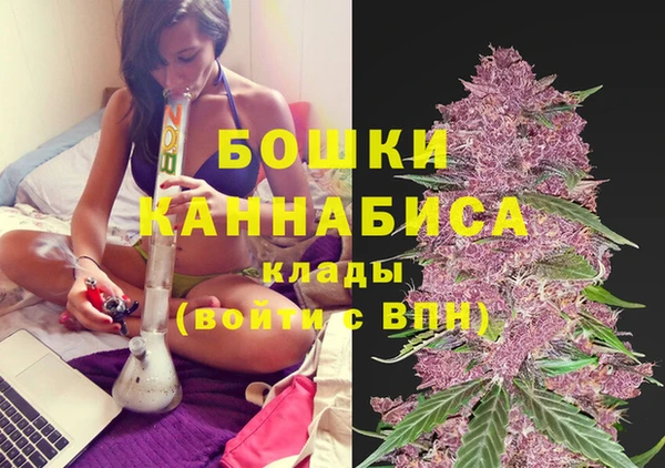 дмт Магас