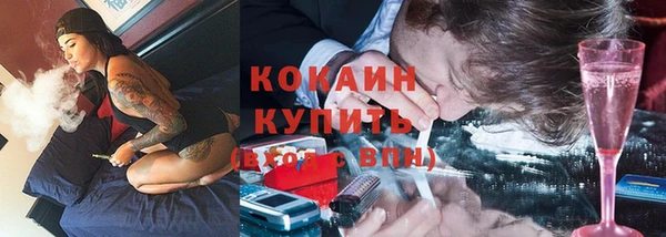 дмт Магас