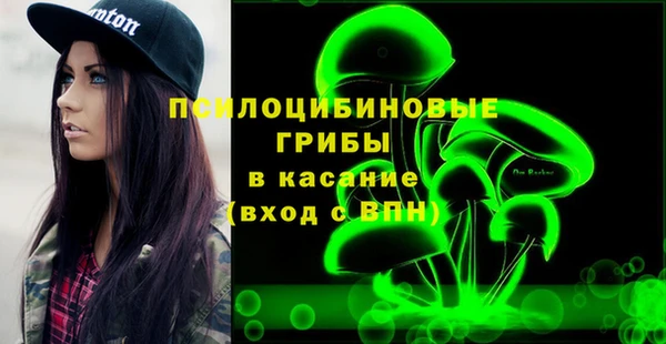 сатива Магадан