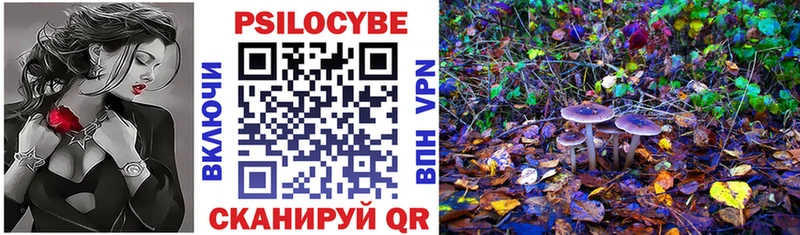 блэк спрут   Власиха  Галлюциногенные грибы Psilocybine cubensis 